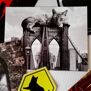 5) Matt McCarthy Postcards, AND 1 VINYL CAT STICKER NWT